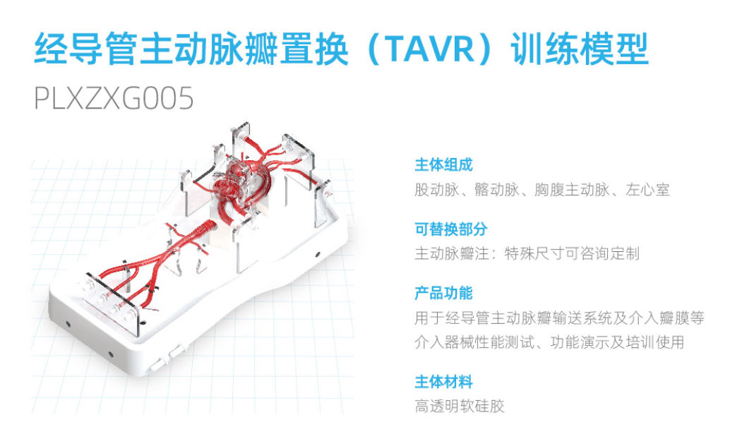 TAVR训练模型如何实现TAVR介入诊疗相关的手术培训