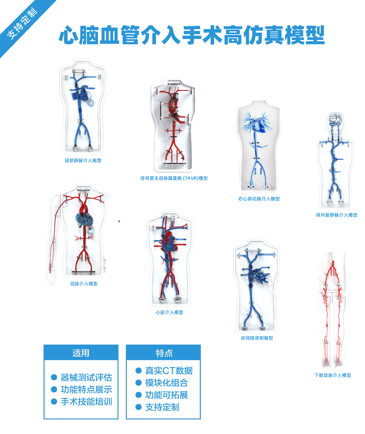 心脑血管介入手术高仿真模型.png